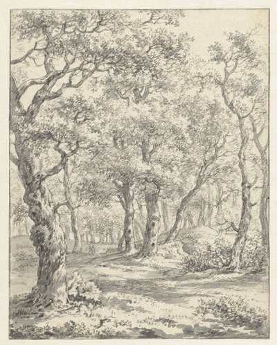 skovlandskab af Couwenhoven