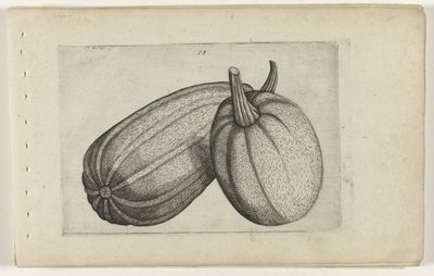 To meloner Know the Lilies (serietitel) af Crispijn van de Passe (I) (attributed to)