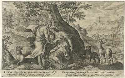 Apollo og Hyacinthus Metamorfosen van Ovidius (serietitel) af Crispijn van de Passe (I)