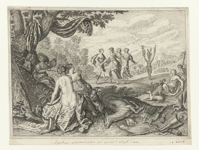 Apulian Shepherd blev til et oliventræ Metamorphoses of Ovid (serietitel) af Crispijn van de Passe (II) (workshop of)