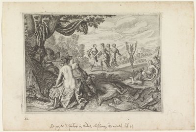 Apulus bliver til et oliventræ Metamorphoses of Ovid (serietitel) af Crispijn van de Passe (II) (workshop of)