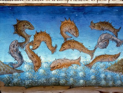 Verdens ende: fisken vil svømme over (c.147r). 1476 af Cristoforo De Predis