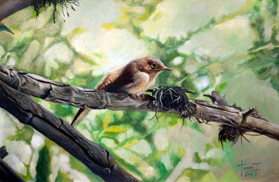 House Wren, the Harmonious Singing, 2010 (akryl på papir) af Cruz Jurado Traverso