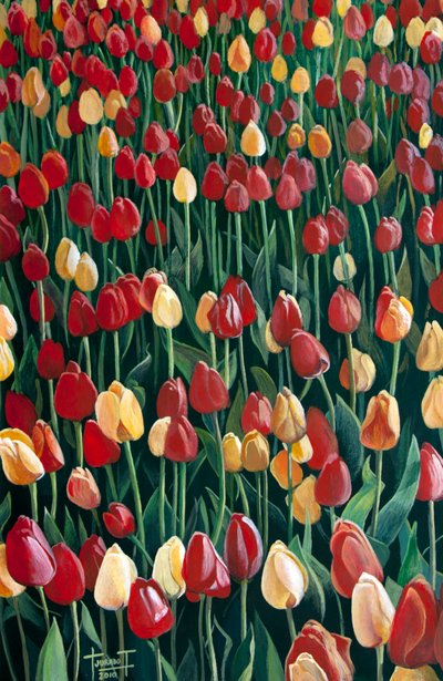 Tulipaner, 2010 (akryl på papir) af Cruz Jurado Traverso