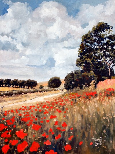 Wild Poppies, Hertfordshire, 2010 (olie på papir) af Cruz Jurado Traverso
