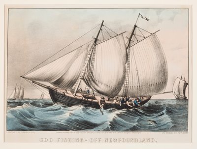 Torskefiskeri - Ud for Newfoundland af Currier and Ives