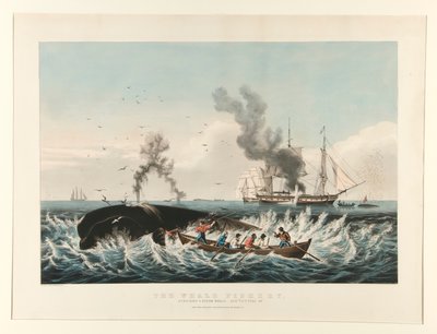 Hvalfiskeriet:/ Angreb på en kaskelothval af Currier and Ives