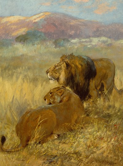 En løve og en løvinde beskytter deres territorium (olie på plade) af Cuthbert Edmund Swan