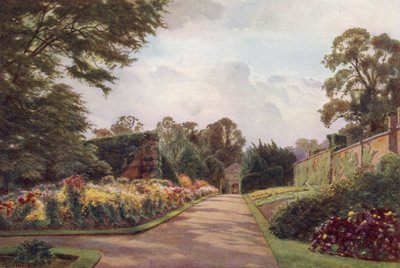 Tidlige krysantemum, Claremont (farve litho) af Cyril Ward