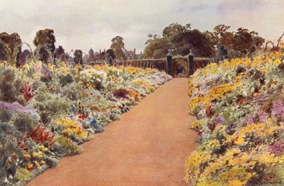 The Double Borders in the East Garden, Sandringham (farve litho) af Cyril Ward