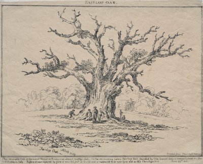 Fairlop Oak, 1811. af D. H. Redman