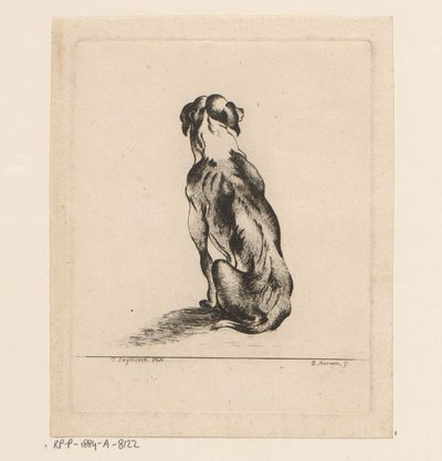 Siddende hund set bagfra af D. Merrem