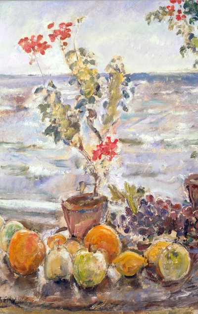 Geranier og frugt, Robin Hood