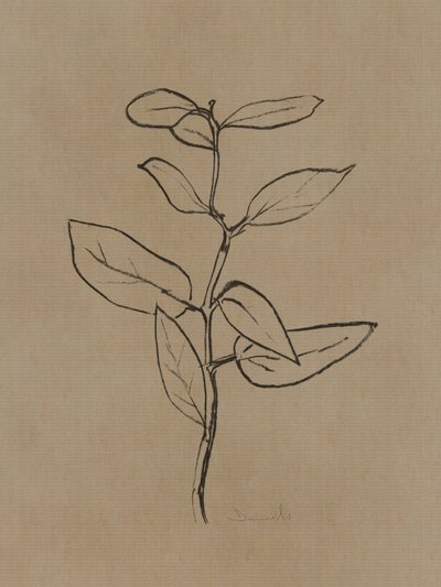 Eukalyptus-træ af Dan Hobday
