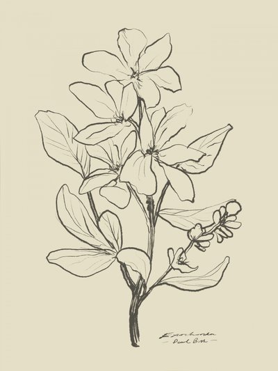 Blomster 1 af Dan Hobday