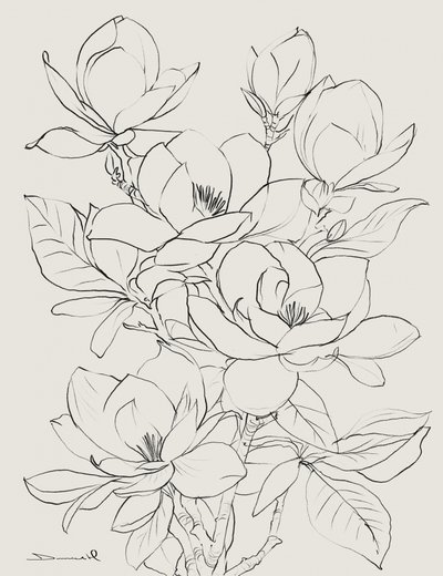 Magnoliatræ af Dan Hobday