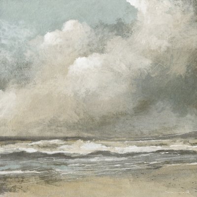 Misty Beach af Dan Hobday