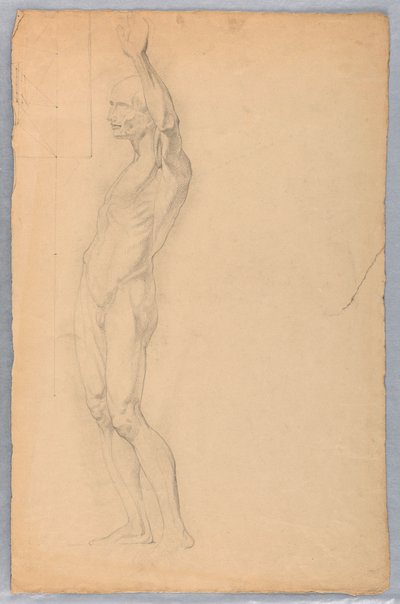 Tegning, Anatomisk studie af mand, ca. 1850 af Daniel Huntington