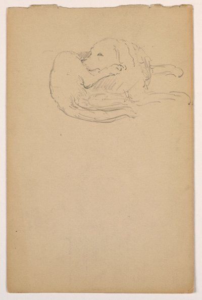 Tegning, Dash (en setter), ca. 1862 af Daniel Huntington