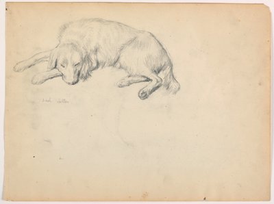 Tegning, Dash (en setter), ca. 1862 af Daniel Huntington