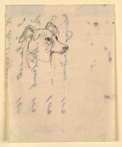 Tegning, hundehoved, sandsynligvis Milo (en pointer), ca. 1862 af Daniel Huntington
