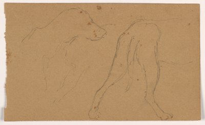 Tegning, Milo (en pointer), hoved og krop, ca. 1862 af Daniel Huntington