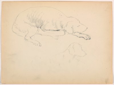 Tegning, Milo (en pointer), to studier, ca. 1862 af Daniel Huntington