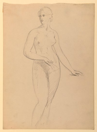 Tegning, fru Henry Schieffelin, S, 1881 af Daniel Huntington