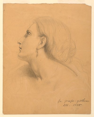 Tegning, studie til "Druesamlere", juli 1855 af Daniel Huntington
