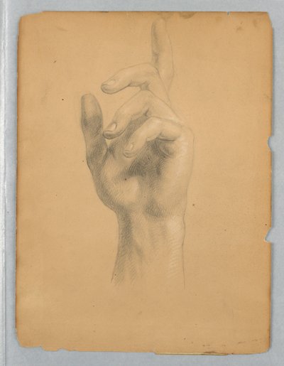 Studie af Angel