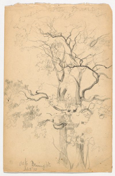 Studie af Oaks ved Dennings Point af Daniel Huntington