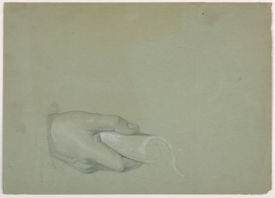 Studie af en mands hånd for "Tribute Money" af Daniel Huntington