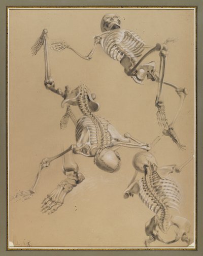Studie af skeletter, 1848 (kridt på papir) af Daniel Huntington