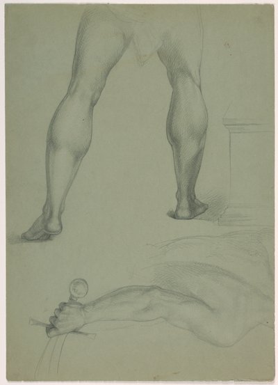 To partielle anatomiske studier af Daniel Huntington