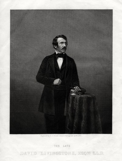 David Livingstone, skotsk missionær og afrikansk opdagelsesrejsende, 1880 af Daniel John Pound