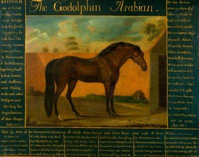 Godolfin-araberen af Daniel Quigley