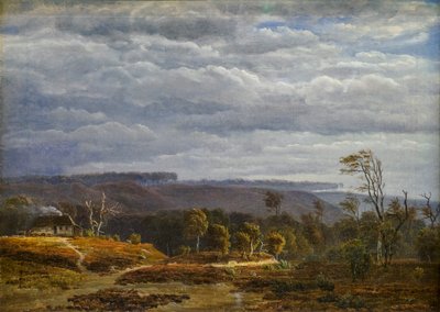 Udsigt over et skovklædt landskab i Jylland af Dankvart Dreyer