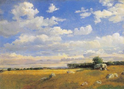 Dolmen på Brandsø af Dankvart Dreyer