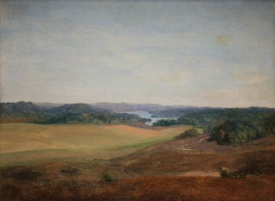 Landscape near Silkeborg, Jutland af Dankvart Dreyer