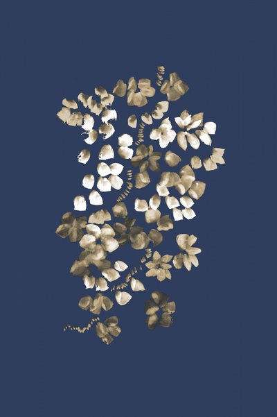 Gylden blomsterkaskade af Danushka Abeygoda
