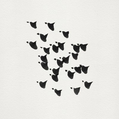 Minimalistisk fugleflugt af Danushka Abeygoda