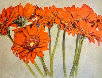 Orange Burst, 2019 (blyant, akryl på papir) af Darrell Windjack