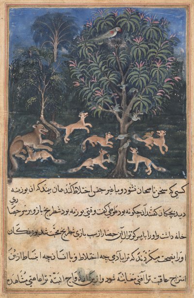 Side fra Tales of a Parrot Tuti-nama: Femte nat: Papegøjemoderen advarer..., ca. 1560. af Daswanth