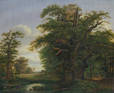 Egetræ, 1847 af David Christopher Mettlerkamp