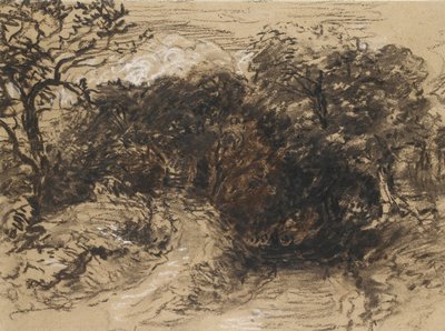 En hul bane nær Harborne, Derbyshire (sort kridt med strejf af hvidt og lidt brun vask) af David Cox