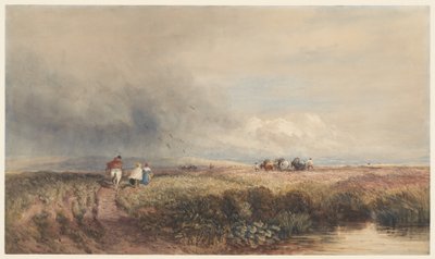  af David Cox