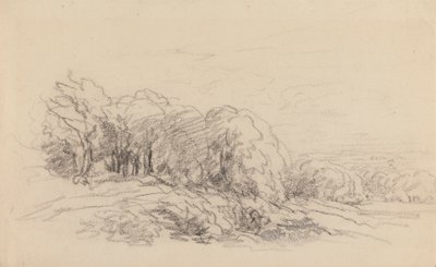 Landskab med træer af David Cox