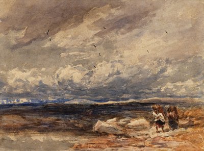 På Carrington Moss af David Cox