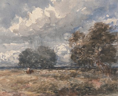 Hyrde flokken, blæsende dag af David Cox