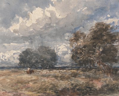Hyrdning af flokken, blæsende dag af David Cox